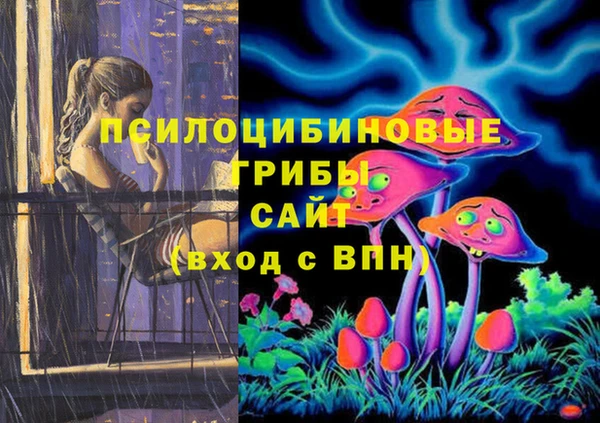 jwh Алзамай