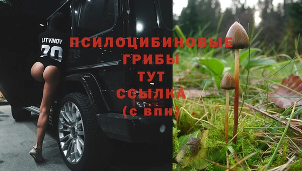 jwh Алзамай