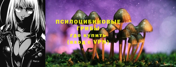 амф Абинск