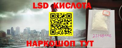 винт Сланцы