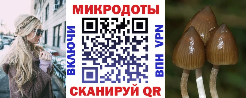 Галлюциногенные грибы MAGIC MUSHROOMS  закладки  blacksprut ССЫЛКА  Стерлитамак 