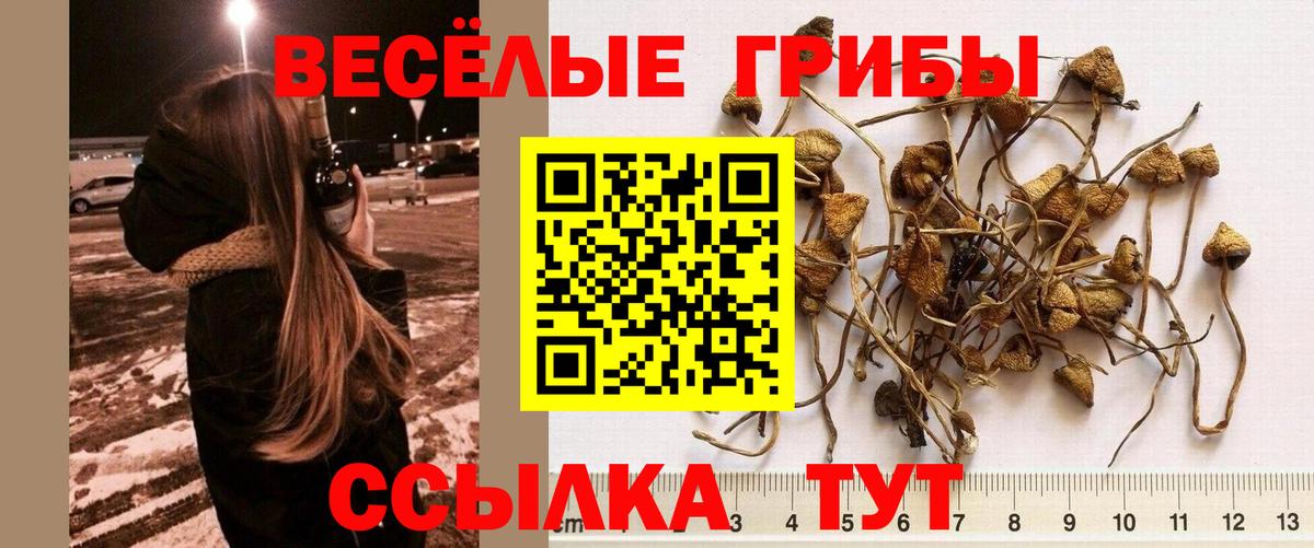 Стерлитамак  Галлюциногенные грибы прущие грибы  Вход с VPN 